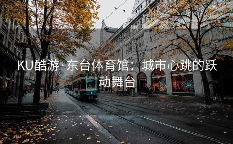 KU酷游·东台体育馆：城市心跳的跃动舞台